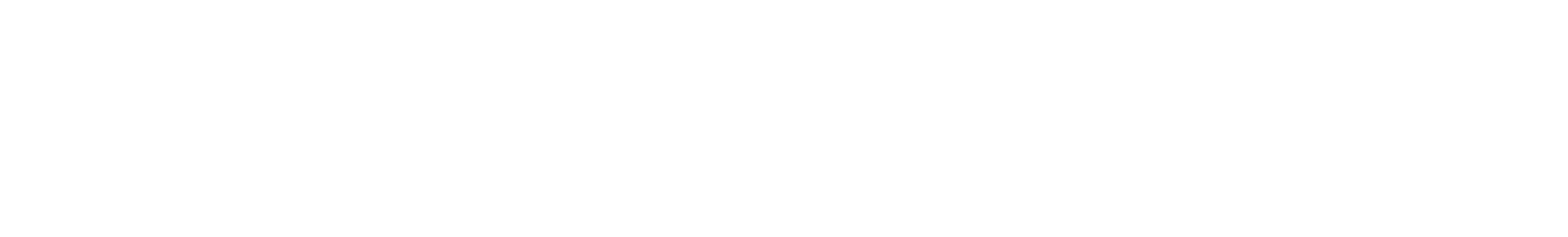 Denizler Denizcilik logo image